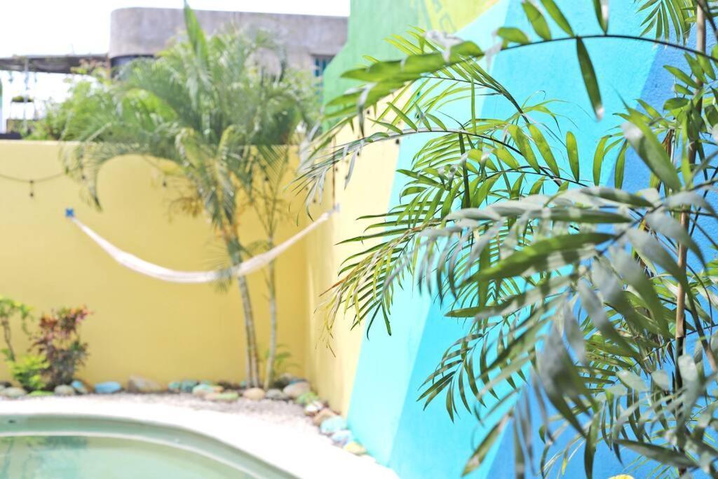 Studio -Sand At Mikasa- Fast Internet, King Bed, Pool, Near Beach, Ac Puerto Escondido  Exterior photo